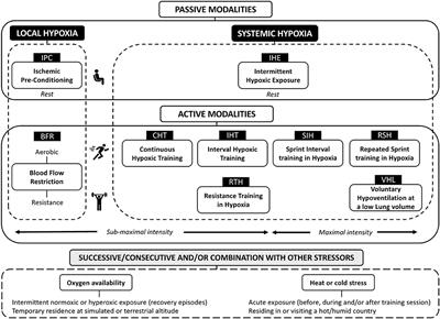 An Updated Panorama of “Living Low-Training High” Altitude/Hypoxic Methods